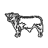 Springwood Meats
