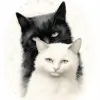 Berrylands Cattery