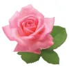 Roseview Picture Framing