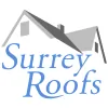 Surrey Roofs