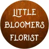 Little Bloomers Florist
