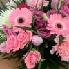 Floral Shop