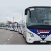 Woods Travel