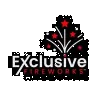 Exclusive Fireworks