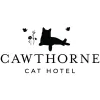 Cawthorne Cat Hotel