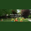 Meadows Day Nursery