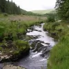 Mid Wales Trading