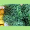 Shelford Deli