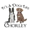 It's A Dogs Life Chorley