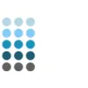 The Professional Cleaning Co