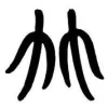 Anne Etherton Acupuncture