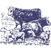 Robinson C & Sons