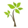 Willowbrook Medical Practice