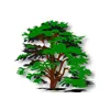 Cedar Tree Counselling