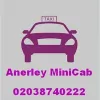 Anerley Minicab