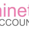Nineteen Accountants