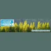 Smith Bros Timber