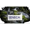 Seneca I P