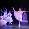 Mayhew School Of Dance