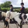 North Lizard Riding School