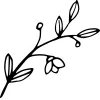 D H C Acupuncture
