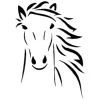 Foxcote House Livery Yard & Riding School