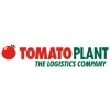Tomato Plant