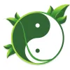 York Traditional Acupuncture