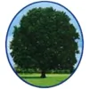 Shustoke C of E Primary School