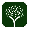 Craig Chisholm Tree Surgery