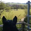 Parbold Equestrian Centre