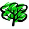 Tom Gooders Tree Surgery