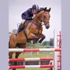 Barton Equestrian Centre