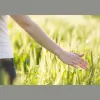 Lynda Corbin Counselling