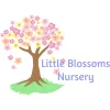 Little Blossoms Nursery
