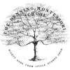 Denning Montessori School