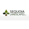 Sequoia Landscapes