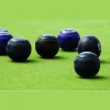 Bristol Greenbank Bowling Club