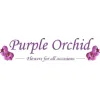 Purple Orchid