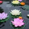 Nina Thai Massages