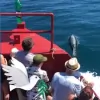 WeFerry