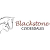 Blackstone Clydesdales