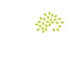 Ringrose Tree Services