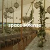 Spaceintense