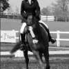 Saddle Doctors