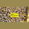 Brand Pest Control