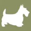 Vanity Fur Dog Grooming
