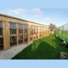 Buttercup Cattery