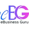 eBusiness Guru