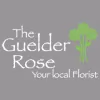 The Guelder Rose